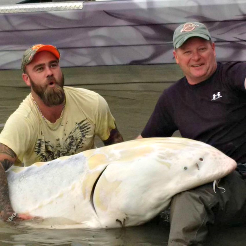 <who> Photo Credit: Chad Helmer 