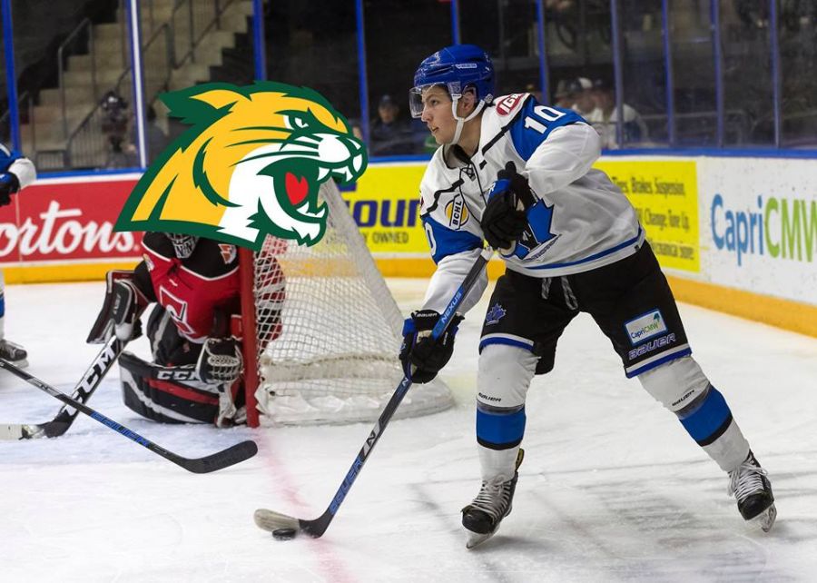 <who>Photo Credit: Facebook Penticton Vees </who>Penticton Vees' forward Andre Ghantous has agreed to a hockey scholarship with the Northern Michigan Wildcats for the 2019-20 NCAA season. The Vees acquired Ghantous in late September.
