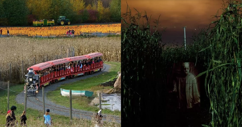 Pumpkin Fest returns this weekend, Carnevil dates announced at Galey Farms