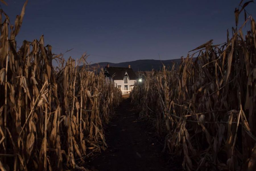 <who>Photo Credit: Contributed