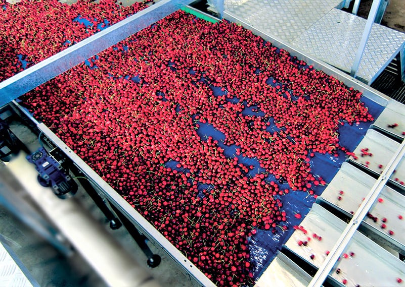 </who>Cherries on the Unitech Cherry Vision 3.0.