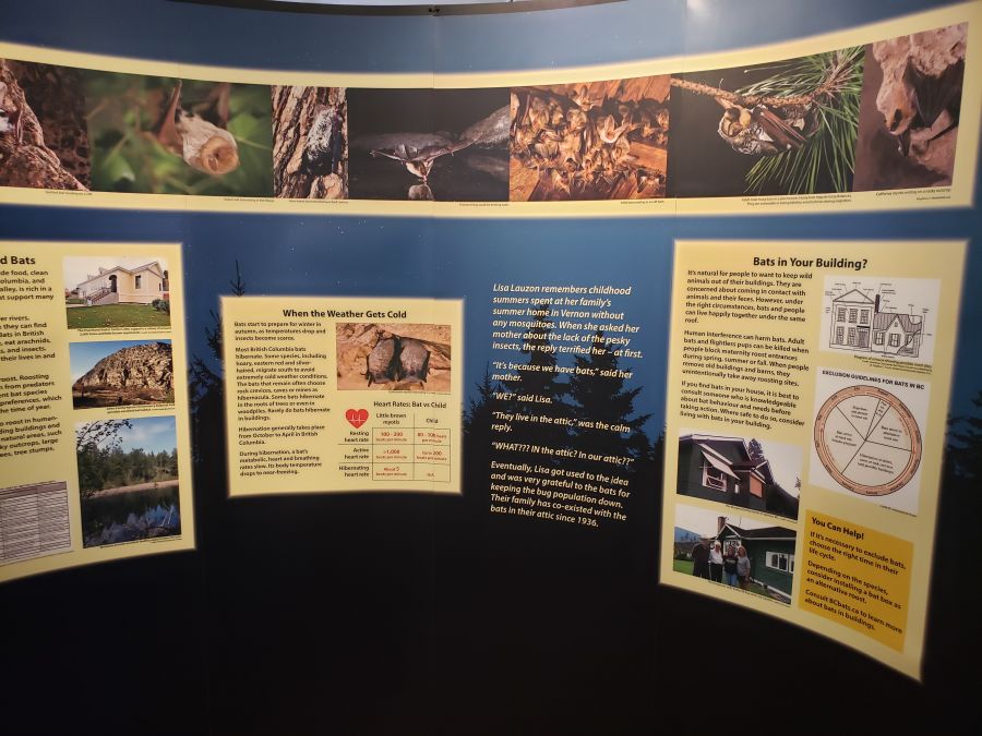<who> Photo Credit: NowMedia </who> Plenty of information on bats at Penticton Museum and Archives.