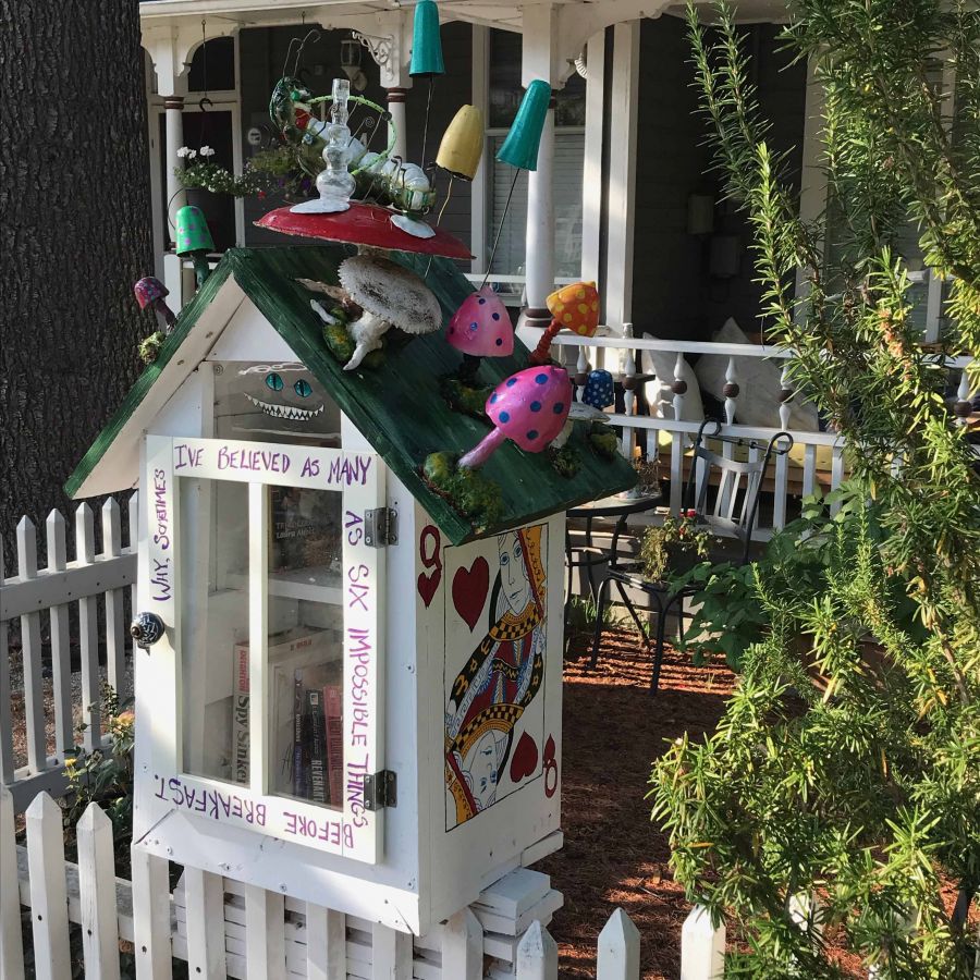 <who>Free Little Libraries/Pocket Places Project</who>Pembroke Street