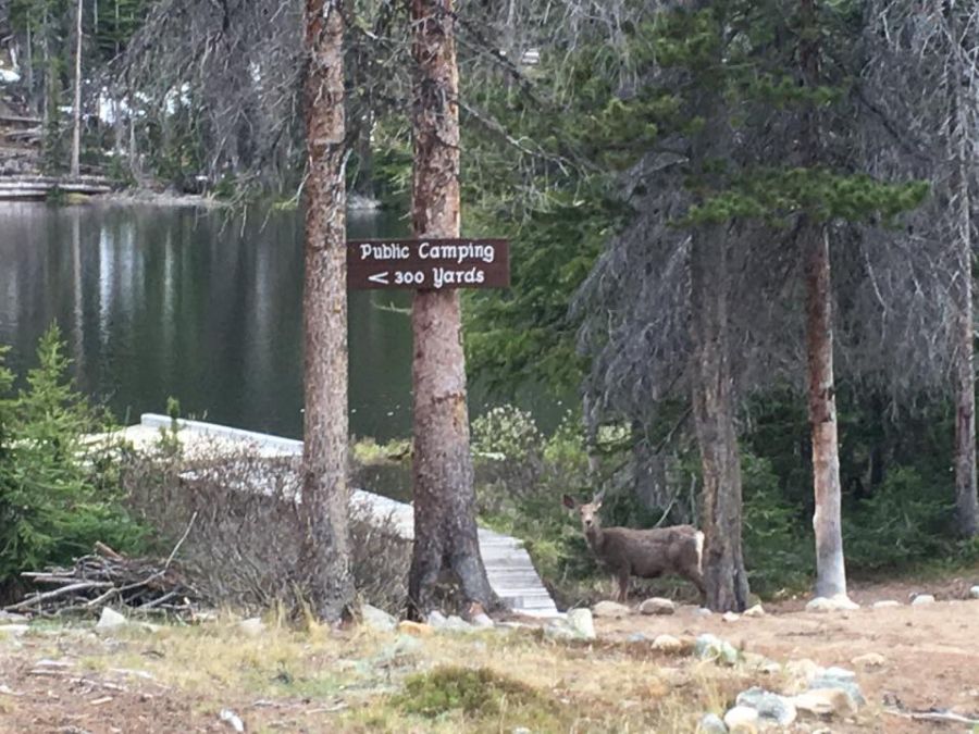 The RDOS ordered an evacuation of the Cathedral Lakes Lodge, located in the beautiful Cathedral Provincial Park and Protected Area, Wednesday morning due to the risk caused by the Placer Mountain wildfire.