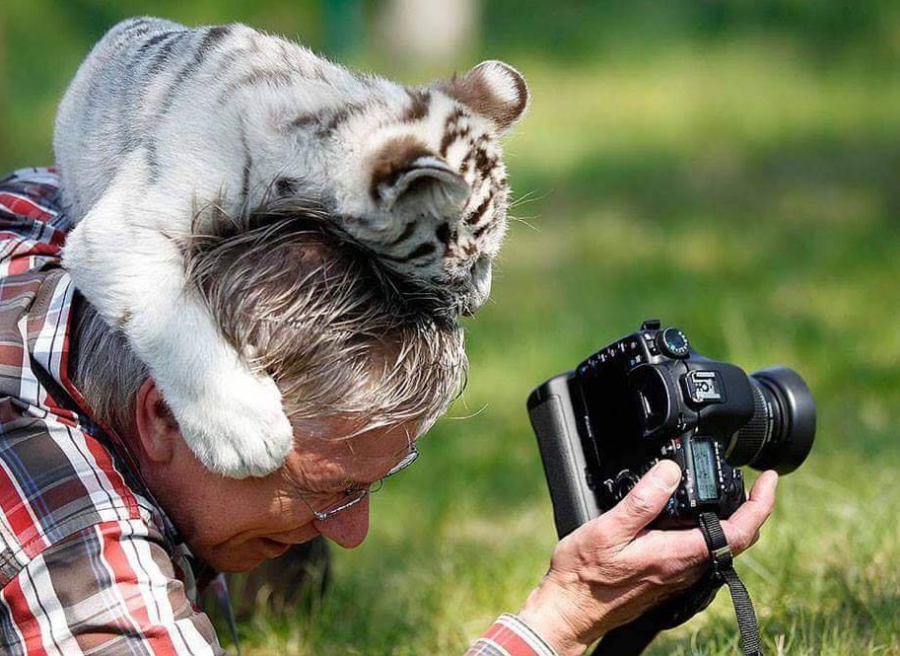 <who>Photo Credit: Twitter