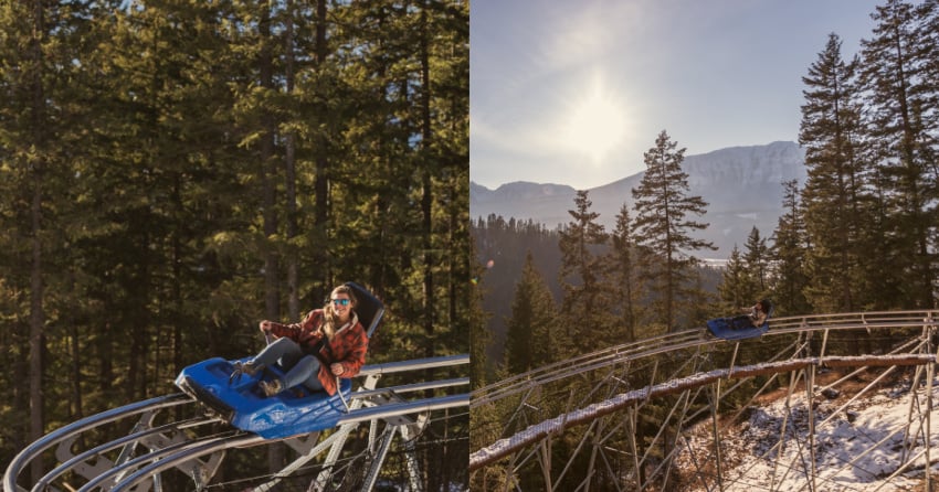 New 3 375 foot mountain coaster opening at the Golden Skybridge