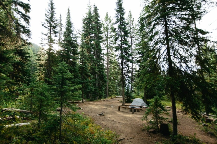 E.C. Manning Provincial Park