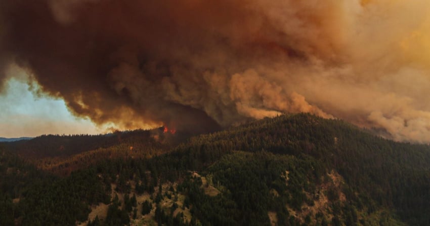 <who> Photo Credit: BCWS </who> The White Rock Lake Wildfire started northwest of Vernon grew to more than 80,000 hectares adn forced the evacuations of hundreds of people during the summer of 2021.