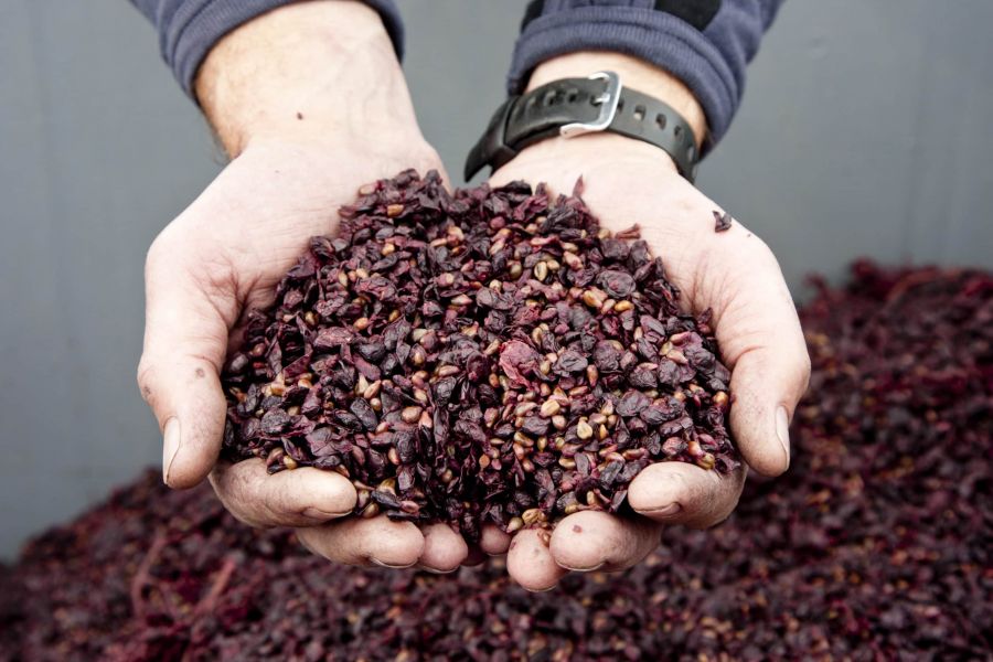 </who>CrushDynamics takes leftover grape skins and seeds and leftover cranberry skins and turns it into a ingredient for use in plant-based meats.