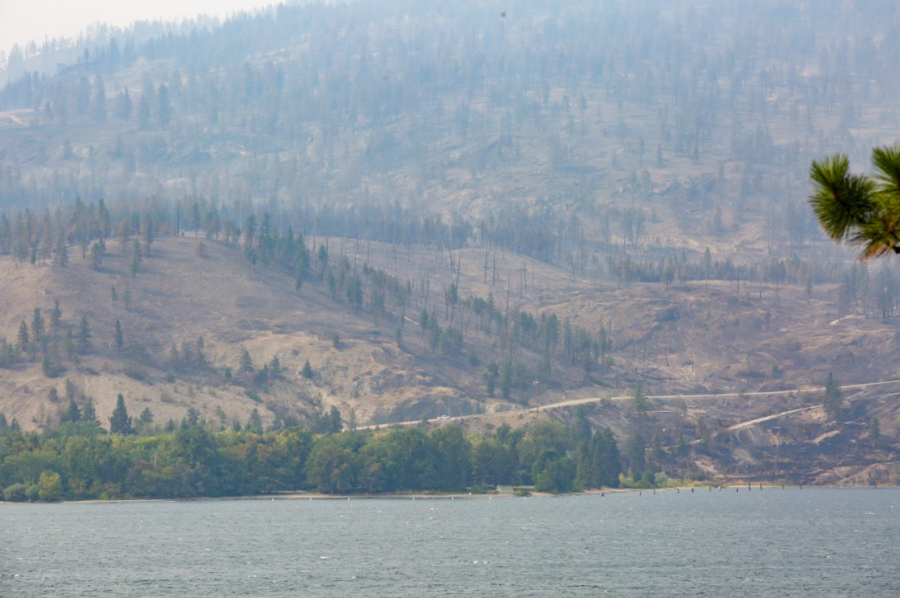 Bear Creek appears to have been protected by its deciduous trees and looks relatively unscathed.