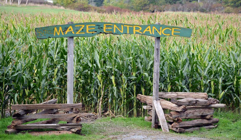 <who>McNab's Corn Maze