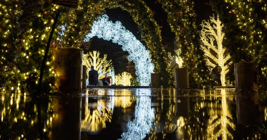 ‘Sparkle and Glow’ New Year’s Eve party returns to Lights of Wonder