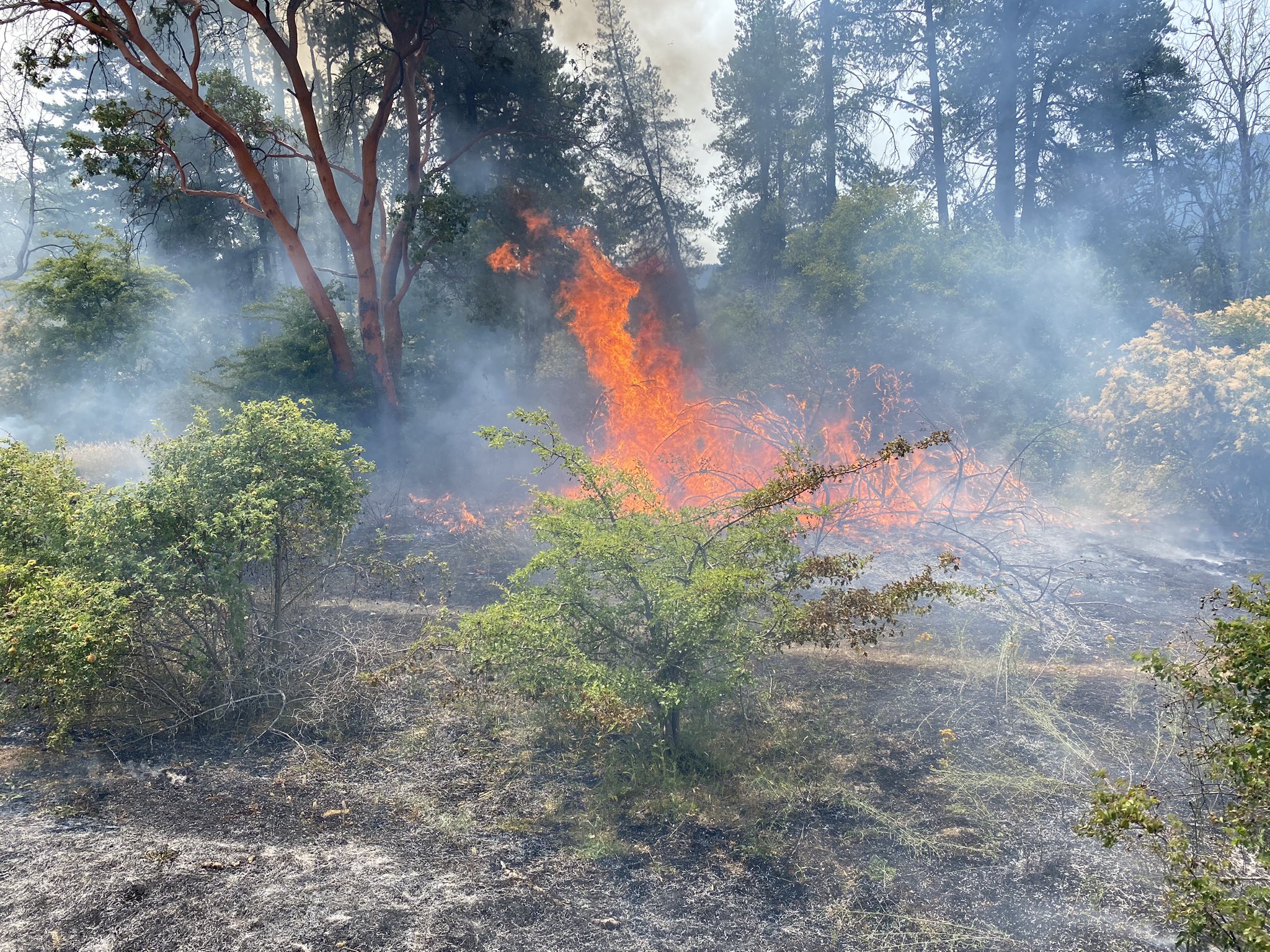 UPDATE: Charges laid against Nanaimo man for series of arson fires along Nanaimo Parkway