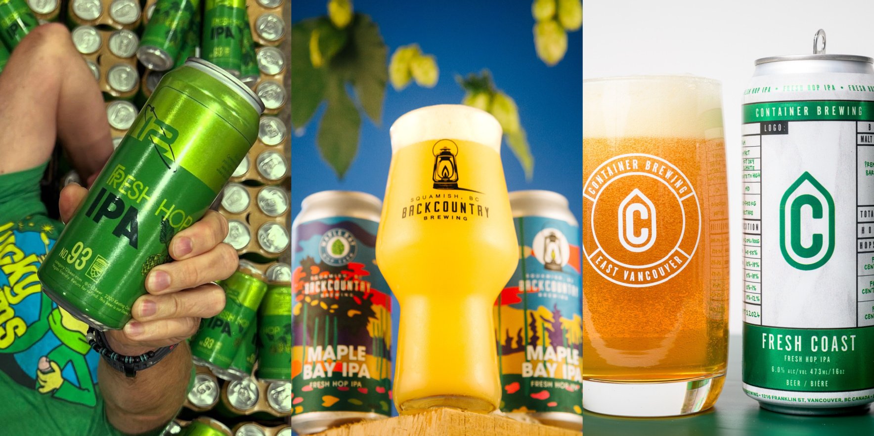 Beer column: Fresh hop season is upon us!