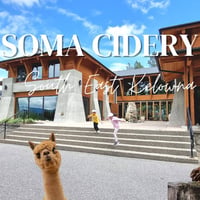 Alpacas &amp; Asanas: Outdoor Yoga, Meditation, Alpaca Connection &amp; Local Cider at SOMA 🧘&zwj;♀️🦙