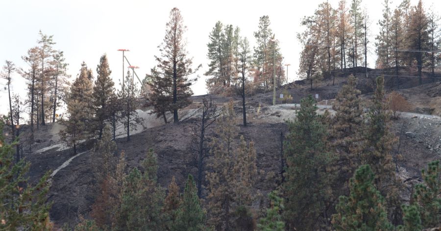 Evacuation alerts rescinded, order partially lifted up Westside Road