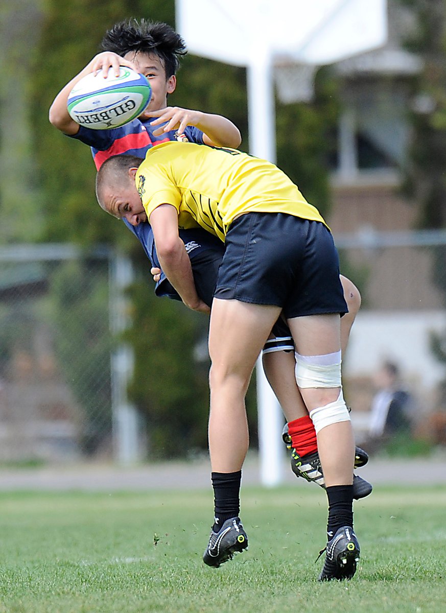 KSS Owls poised for solid showing in provincial rugby
