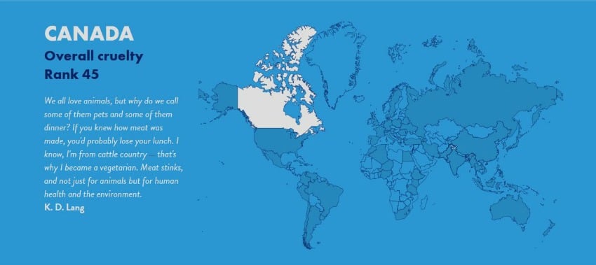 Canada ranked 45th out of 50 countries in animal cruelty index