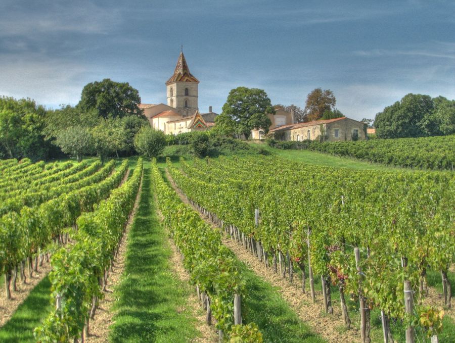 Finding a good bottle of vino in Bordeaux is easy!