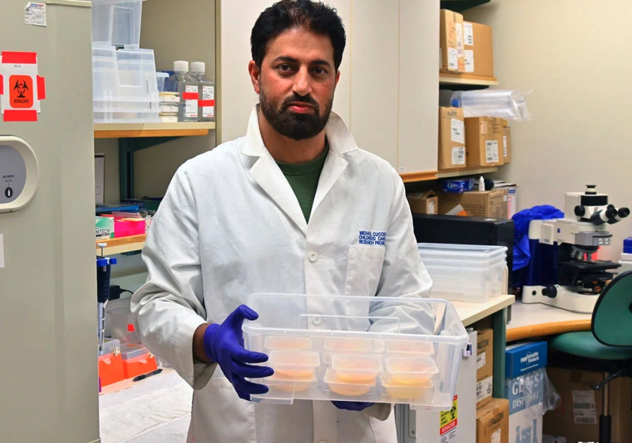 BC researchers using eggs in the fight against children's cancer