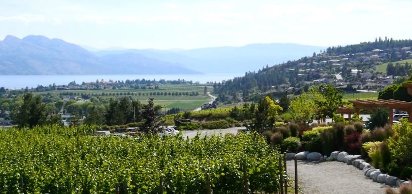 Westside Wine Trail Offers Food and Fashion With Its Summer Sips