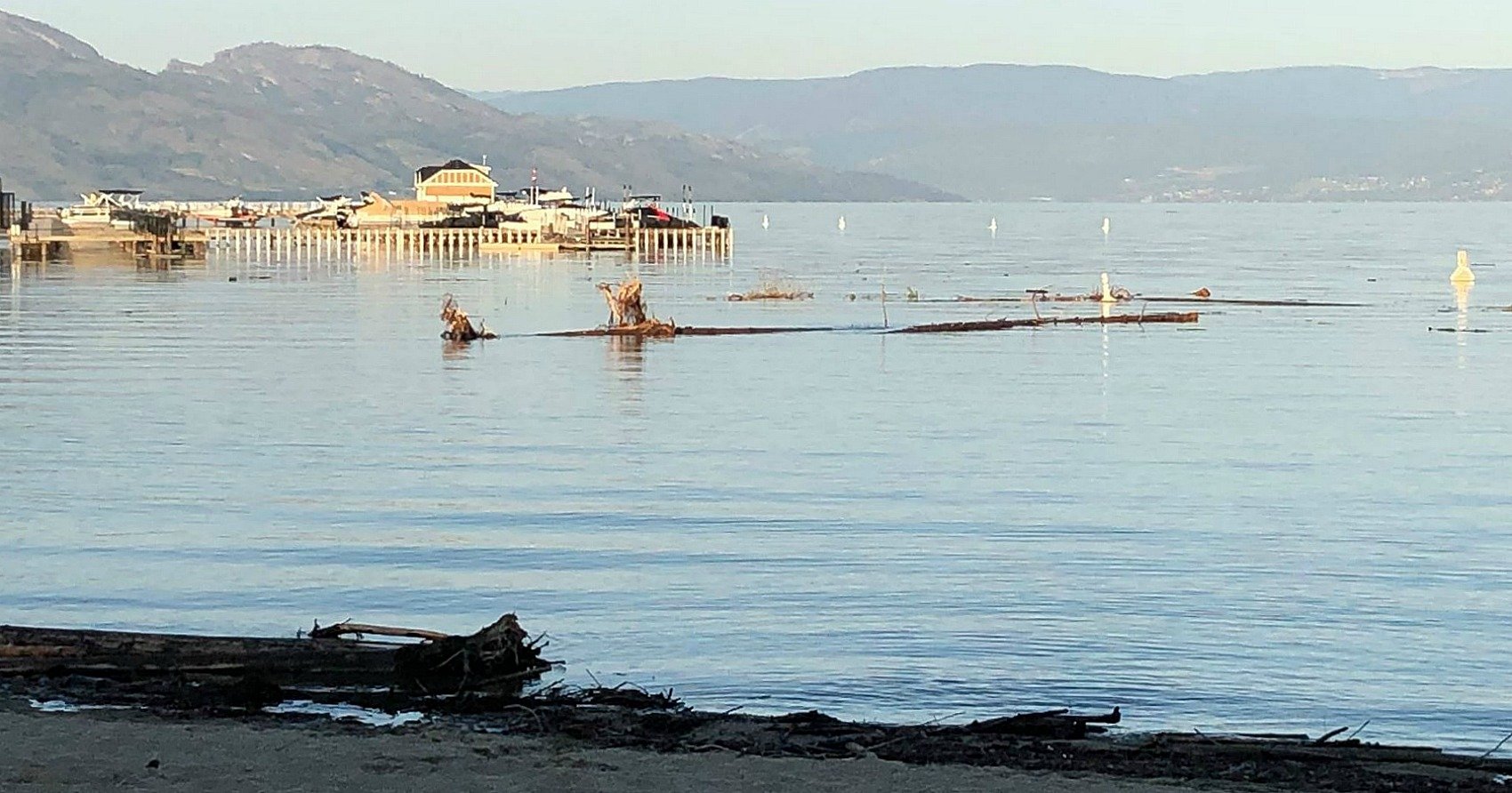 Debris on Okanagan Lake a concern for boaters