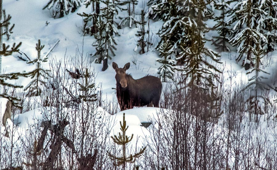 You never know who, or what, you may encounter on the trails, so stay alert at all times.
