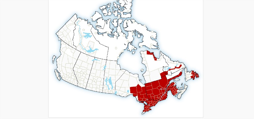 <who> Photo Credit: Screen grab/ Environment Canada </who> The areas in red are the regions under the extreme cold advisory. 