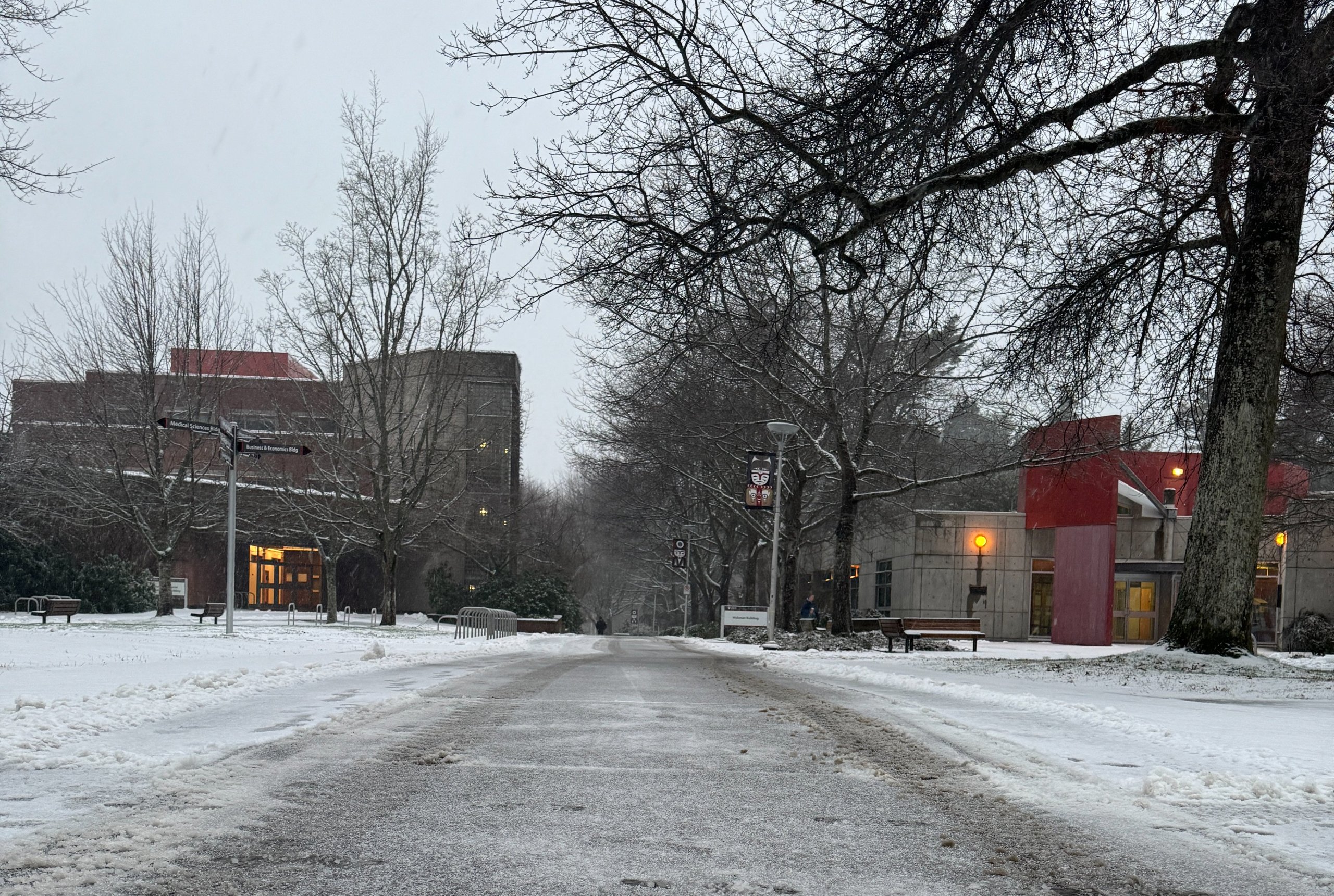 Another round of snow on the way for parts of Vancouver Island 