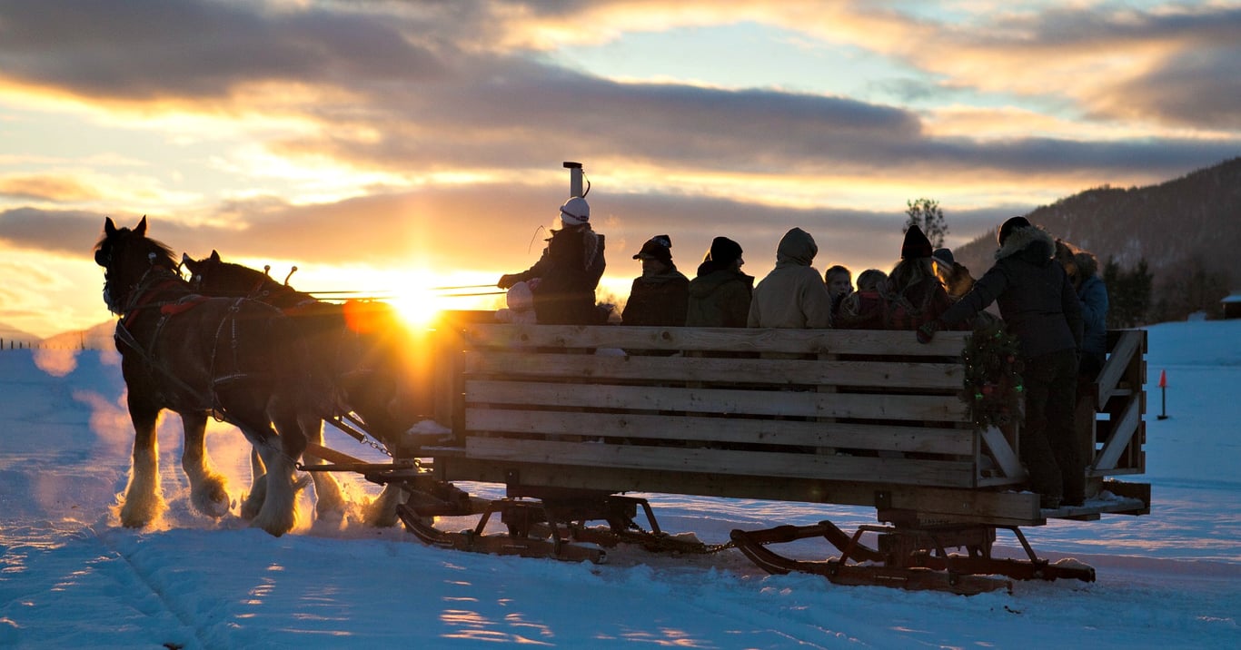 A horse-drawn sleigh ride is the perfect Christmas activity for ...