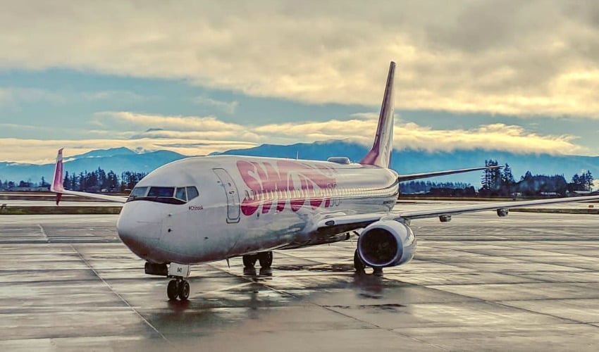 Swoop flight makes emergency landing in Abbotsford after hitting bird