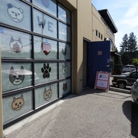 Kelowna Friends of Library Summer Book Sale