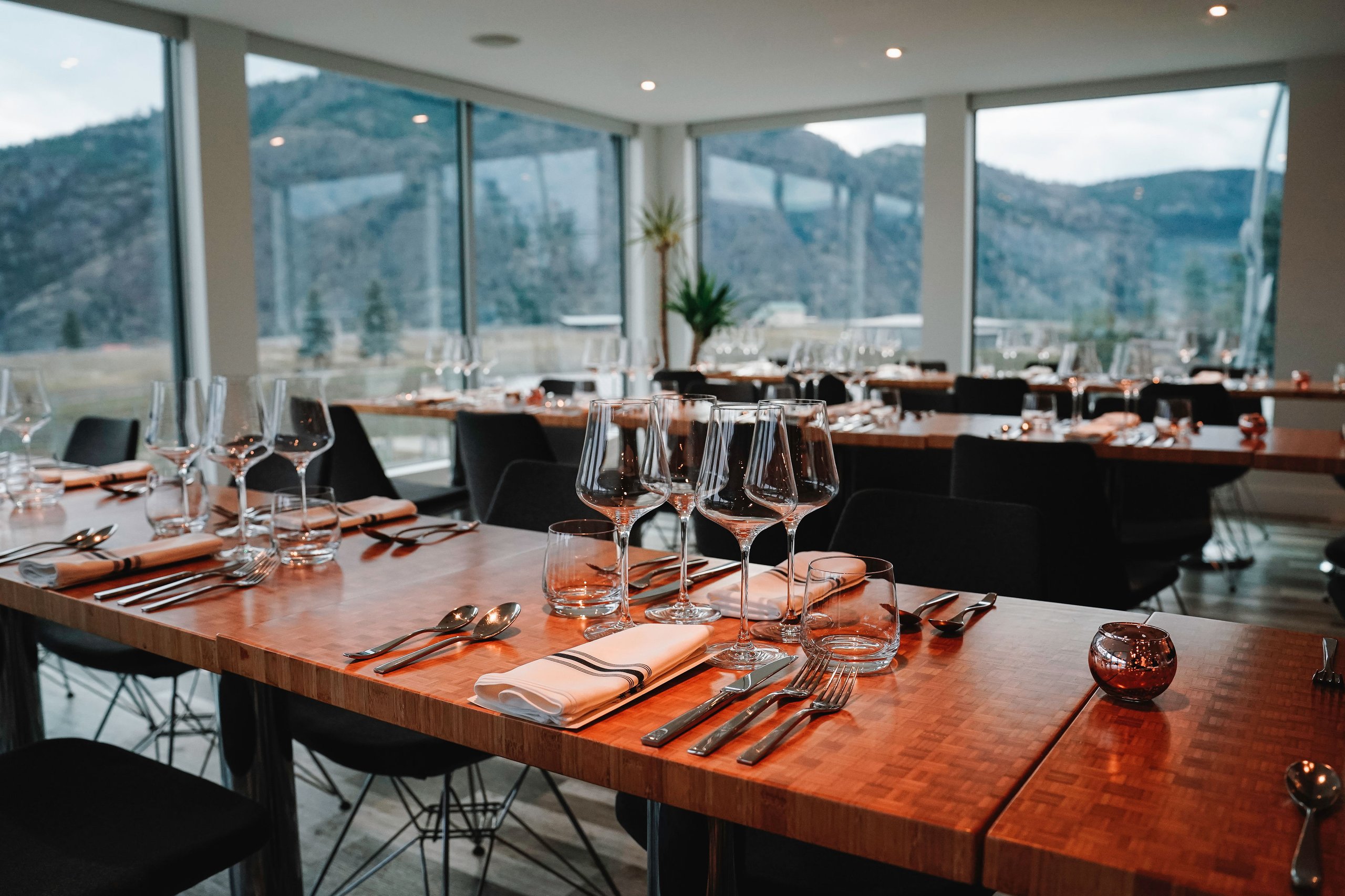 Elevate Life’s Special Moments with Liquidity Wines
