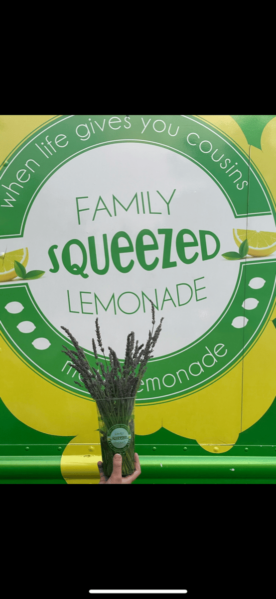 <who>Photo Credit: Family Squeezed Lemonade</who>