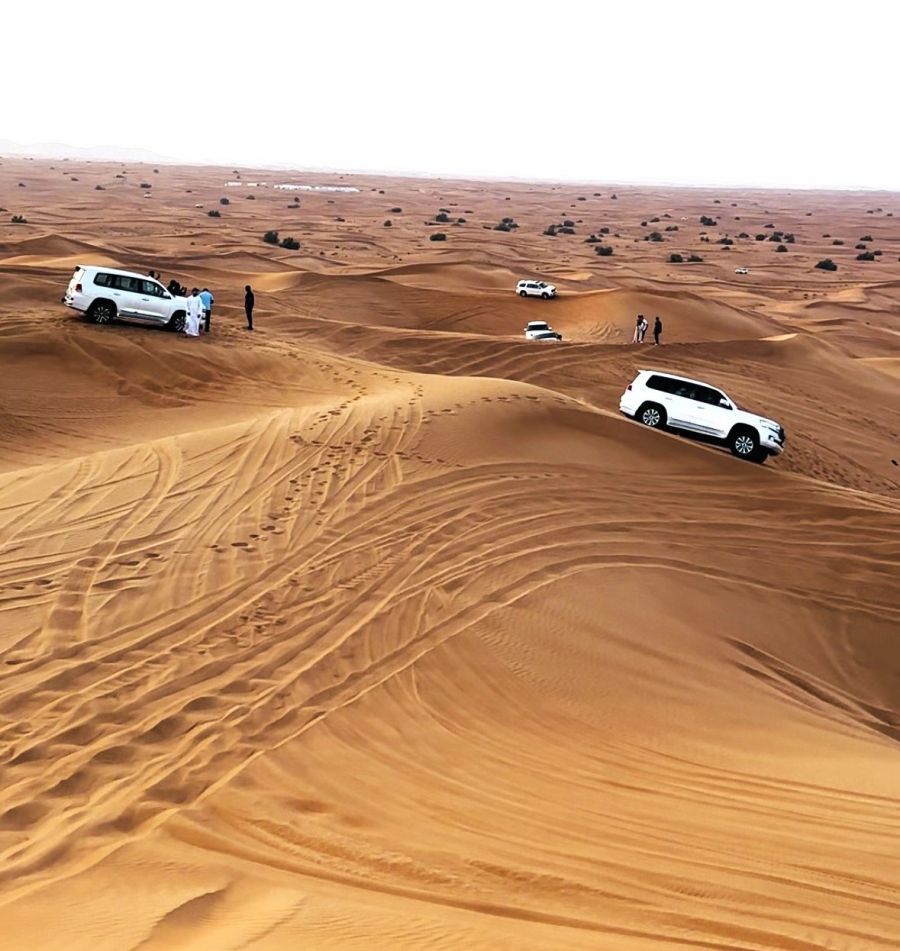 </who>Dune bashing is riding in 4x4 SUVs in the red-sand Lahbab Desert outside of Dubai.