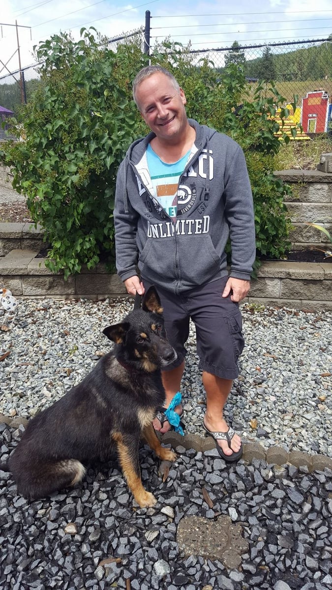 <who> Photo Credit: Paws it Forward </who> Dozer, now named Kobuk with his new human.