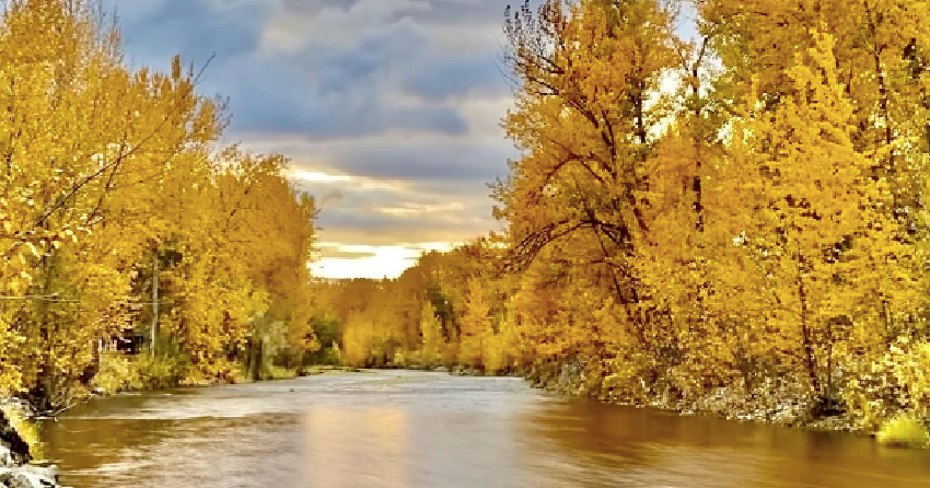 PHOTOS: Colourful fall vibes in the Thompson-Okanagan