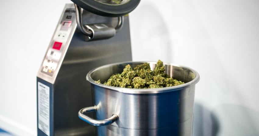 PODCAST: The future of cannabis regulations across the nation and abroad