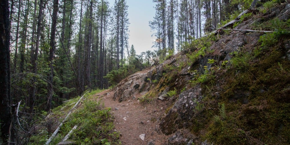 An unexpected adventure at Conkle Lake Provincial Park