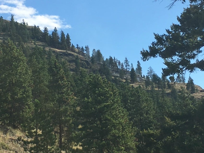 <who> Photo Credit: KelownaNow. <who> The fire that sparked in Adventure Bay Saturday night is now only patches of smoke in the hills.