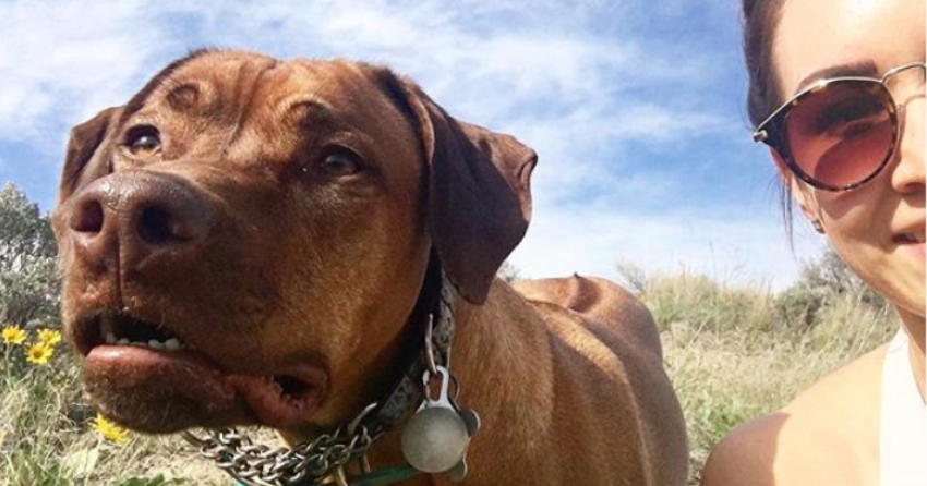 PHOTOS: Woof Wednesday in Kamloops Vol.9