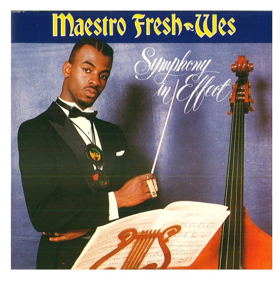 USオリジナル】MAESTRO FRESH-WES LP HIPHOP R&B