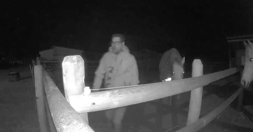 Man accused of sexually assaulting horses on rural Okanagan property