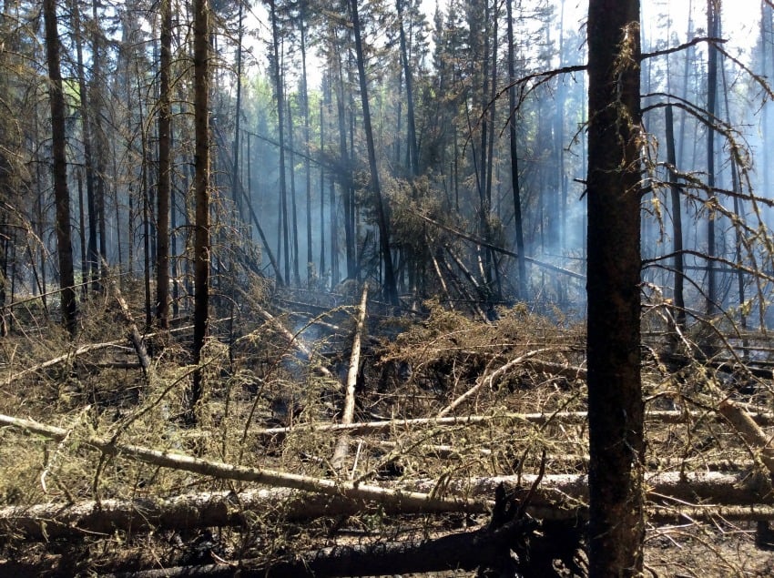 <who> Photo Credit: BC Wildfire Service. </who> Beatton Airport Road fire damage, May 10. 