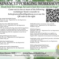 Advanced Foraging Workshop - Make a Trail Kit 3 day event