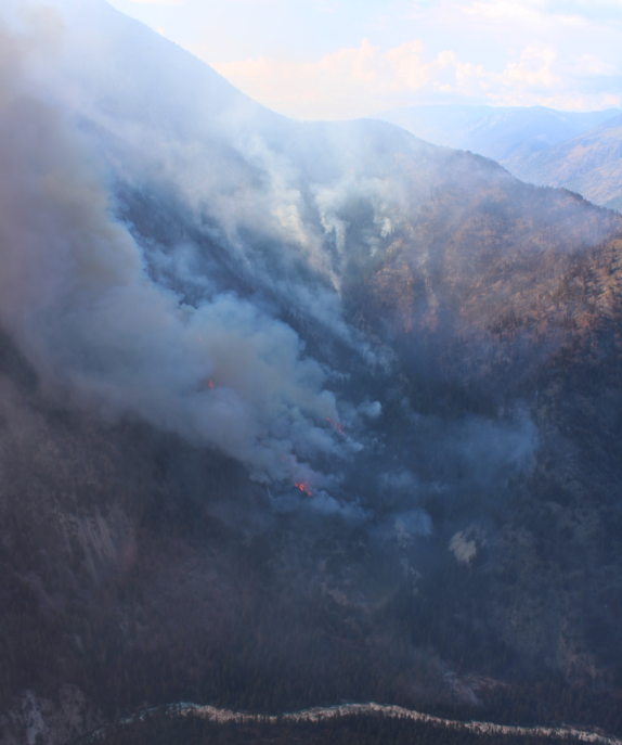 <who> Photo credit: BCWS </who> The fire on July 17.