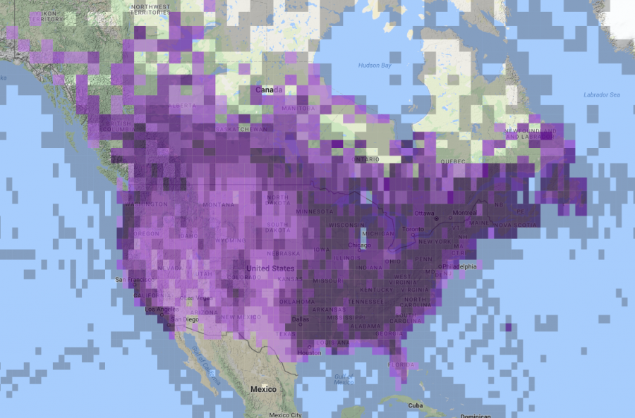 <who> Photo Credit: Screenshot of eBirds Map. </who> eBird reports of American Crow in North America, 2008-2018.