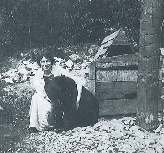 <who>Photo Credit: Halcyon; the Captain's Paradise - A history of Halcyon Hot Springs</who>Joey the bear