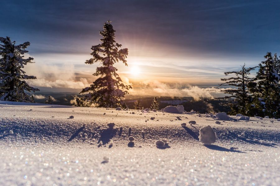 </who>Winter solstice happens when the Earth's poles are tilted farthest from the sun, resulting in the least amount of daylight.