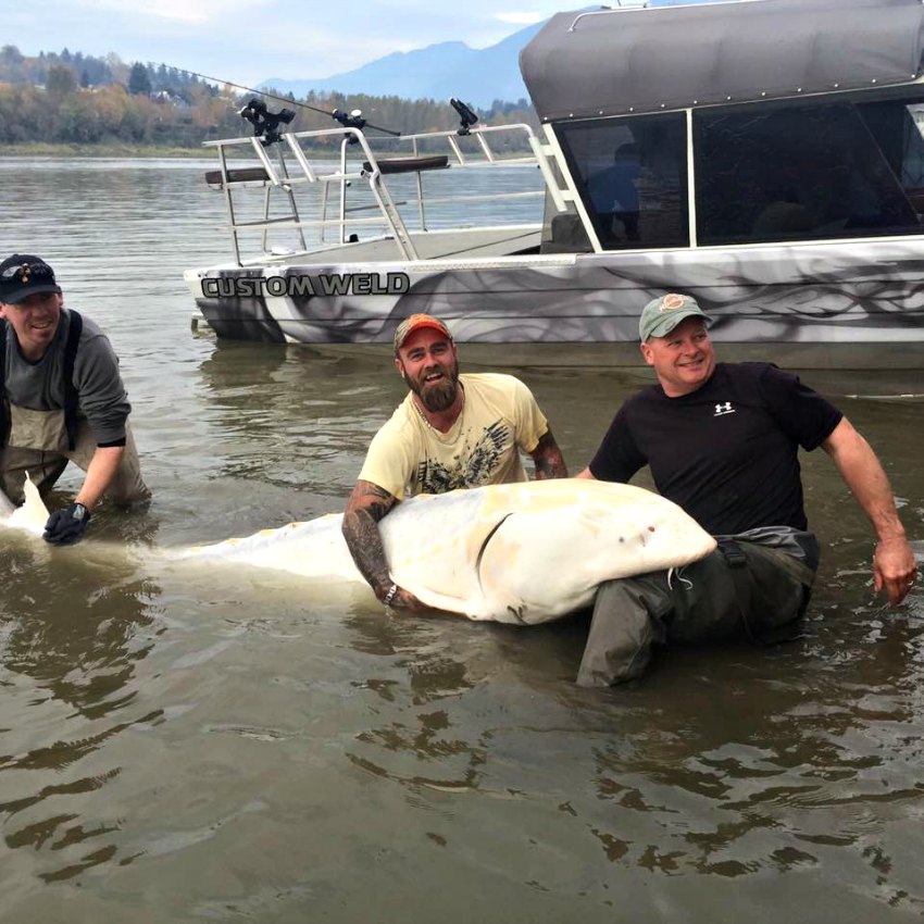 <who> Photo Credit: Chad Helmer 